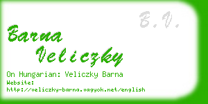 barna veliczky business card